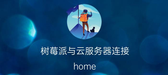 树莓派与云服务器连接 home assistant能装进路由器吗？